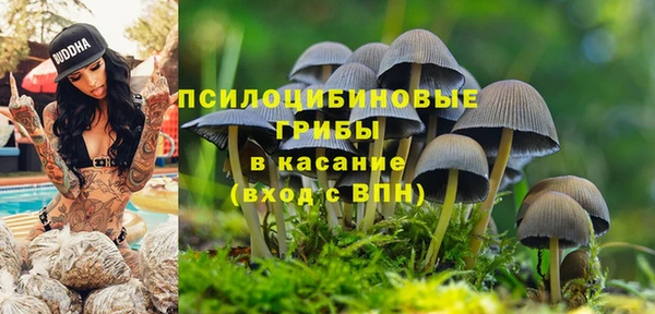 прущая мука Армянск