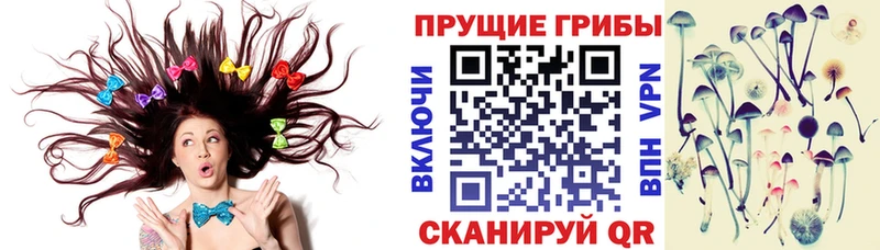 Купить  Белорецк  Псилоцибиновые грибы MAGIC MUSHROOMS 